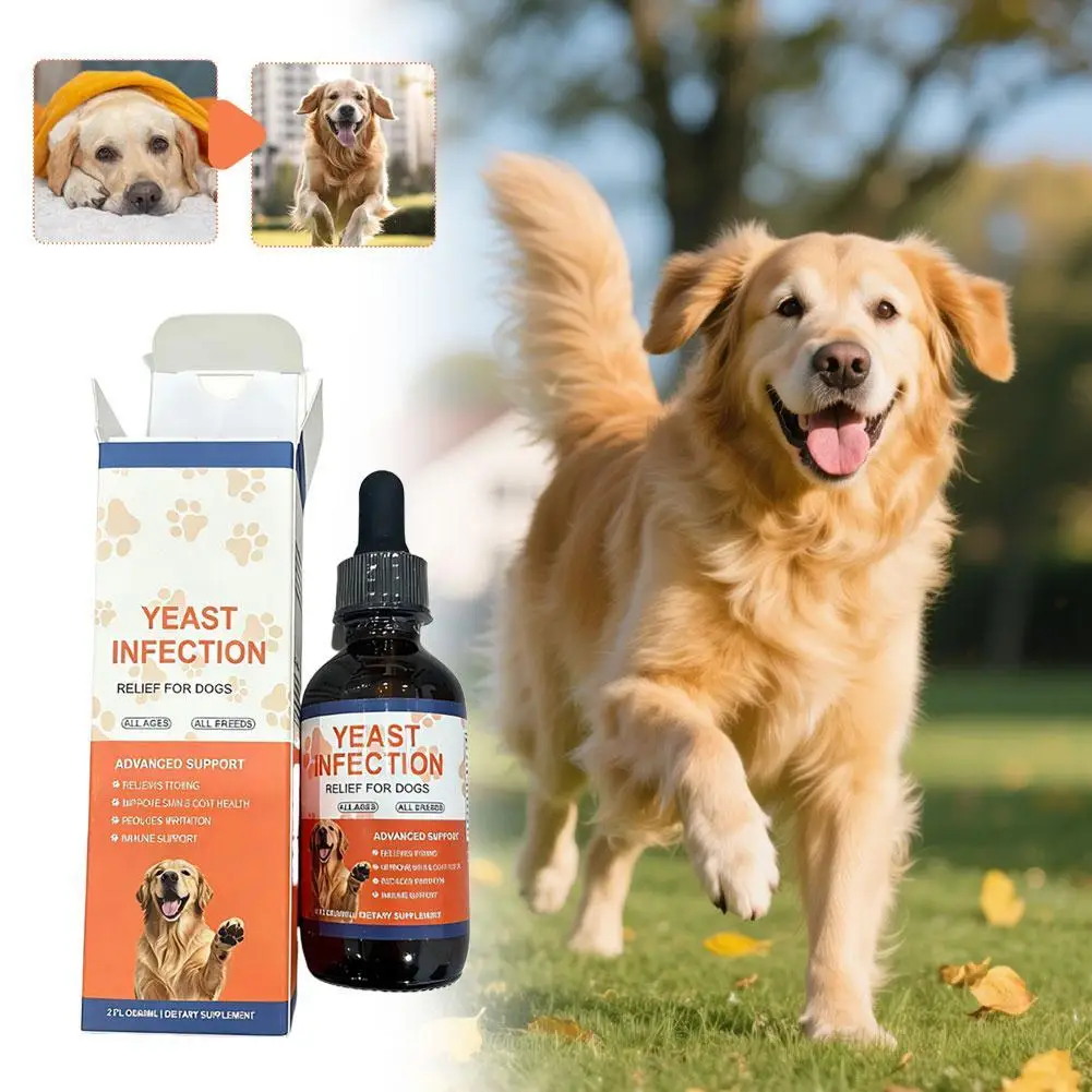 Pet Yeast Drops for Dogs Cats Gentle Care Supplement Improve Nutrient Absorption Dietary Drops (60ml) 1005011925430541