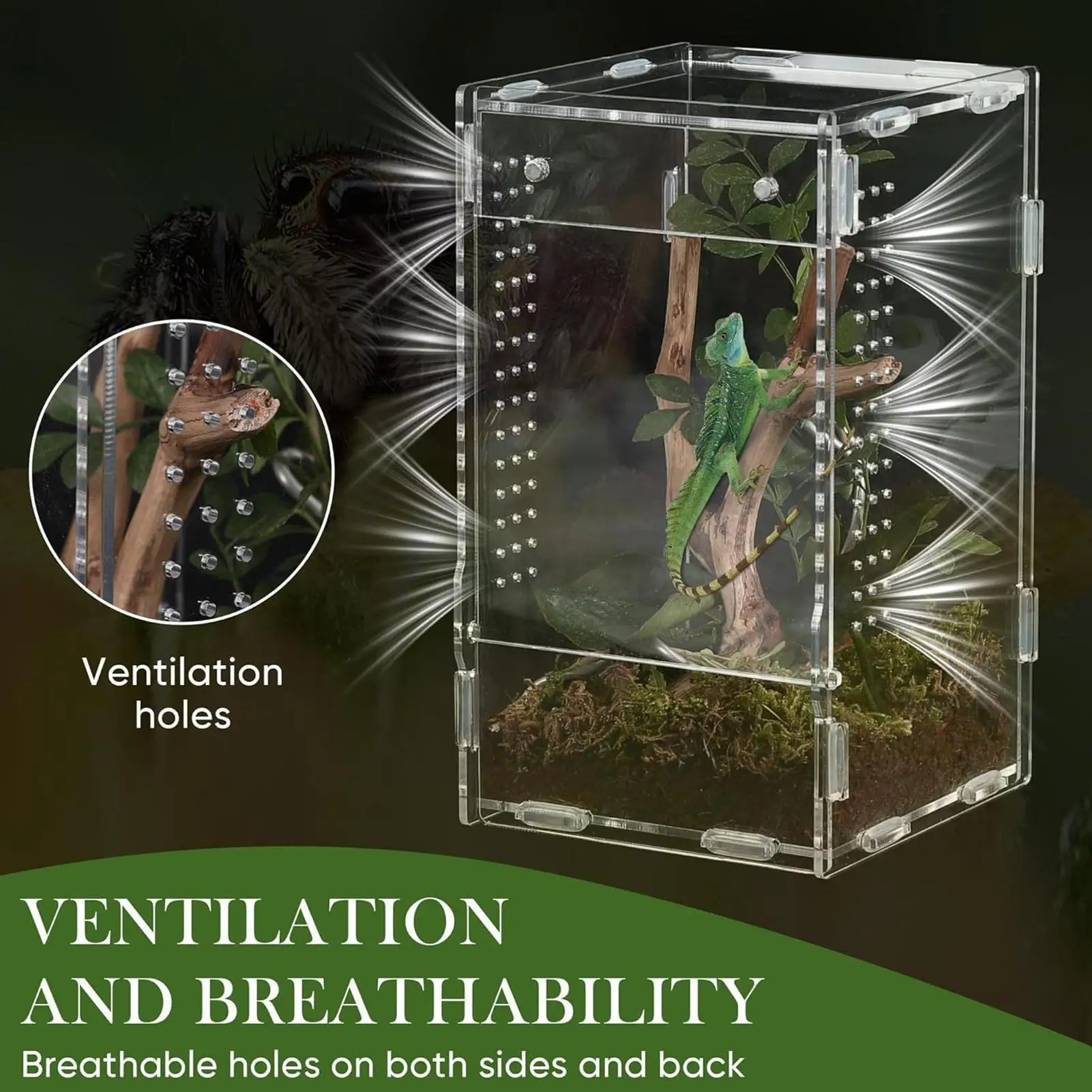 Reptile Habitat Terrarium Breeding Box Acrylic Case Nano Arboreal Tarantula Enclosure Spider 1005011934845753