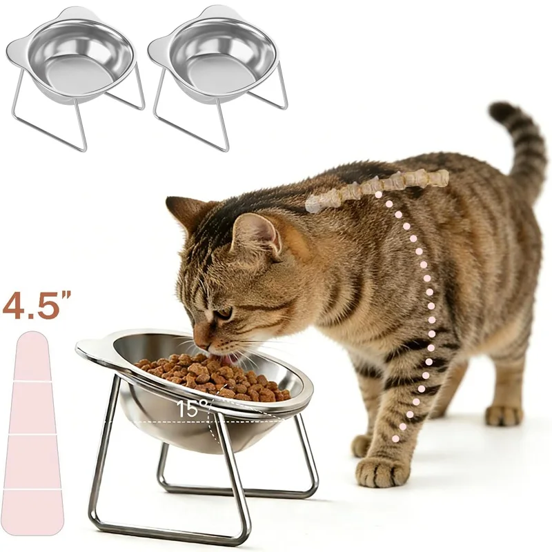 Cat Bowls Tilted Neck Guard Cat Food Bowl Indoor Stainless Steel Shatter Resistant Elevated 15° Pet 1005011940433419