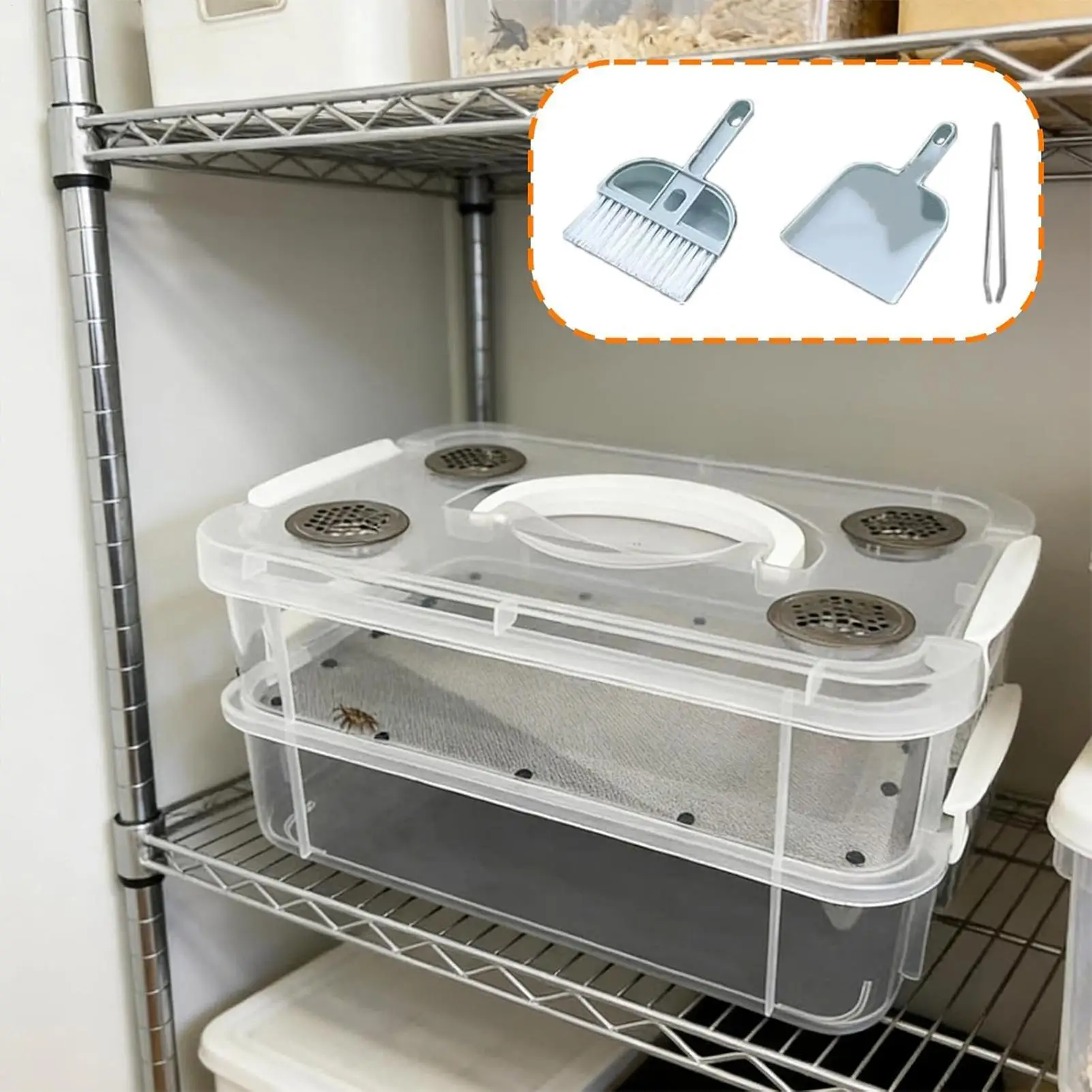 Yellow Mealworms Breeding Box Corn Worm Feeding Farm Bins Feeder for Sugar Gliders Birds Chickens 1005011949287348