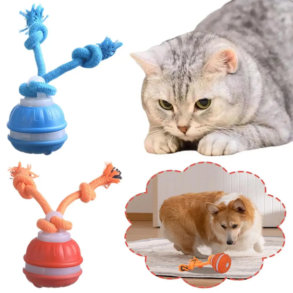 Pet Ball Interactive Toys for Dogs Motion Activate Rolling Ball for Puppy/Small Dogs Automatic 1005011956773015