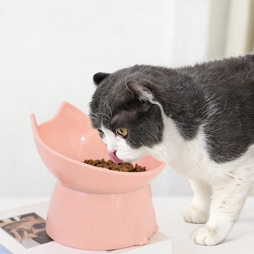 Whiskerware Elevated Cat Bowl Anti-Tip Raised Pet Feeding Dish Tilted Edge Neck Protection Food (1pc) 1005011961556572