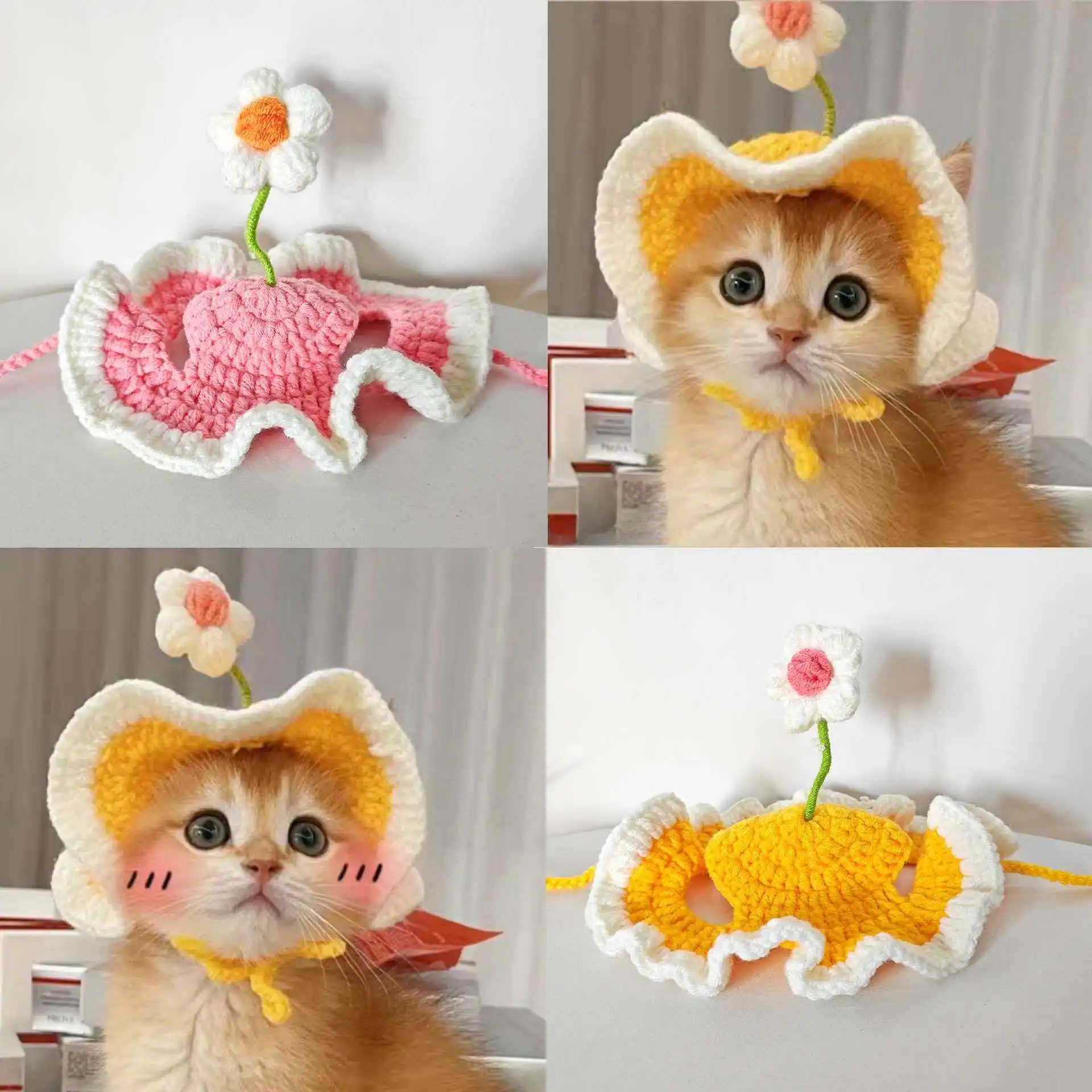 Cat Hat 1005011971335912