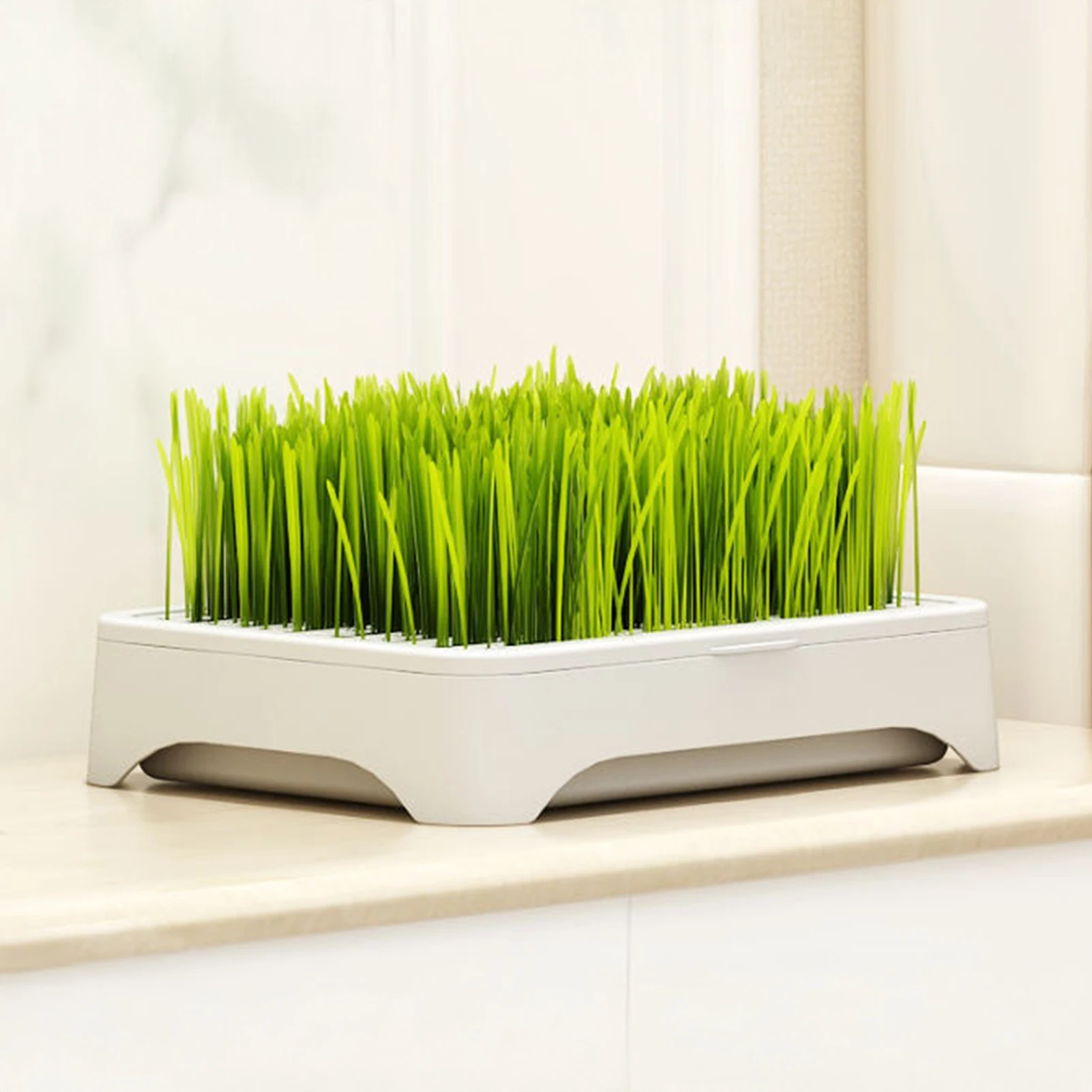 Indoor Pet Cat Grass Planter Box Complete Soilless Hydroponic Kit With Durable Plastic Container 1005011978886451