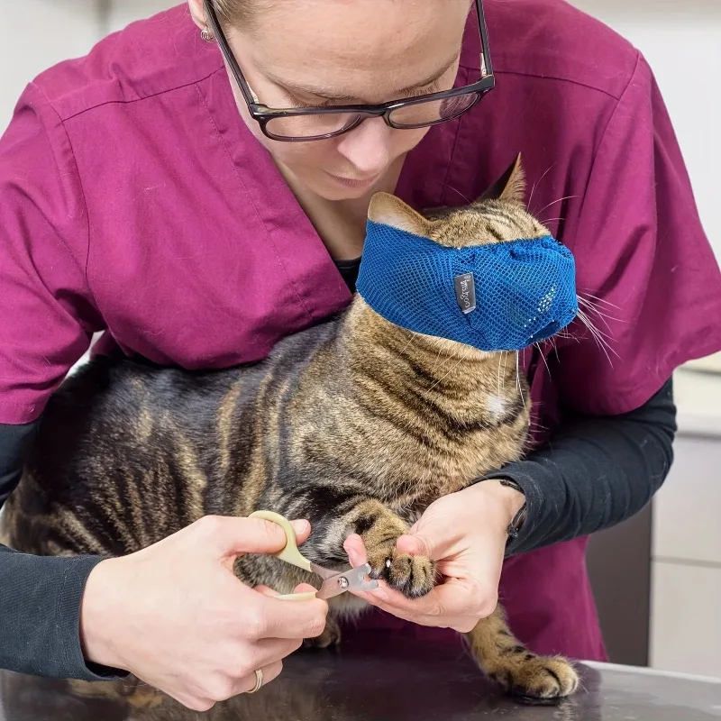 Adjustable Comfortable Cat Muzzle Breathable Mesh, Perfect Grooming Accessory 1005011981950519