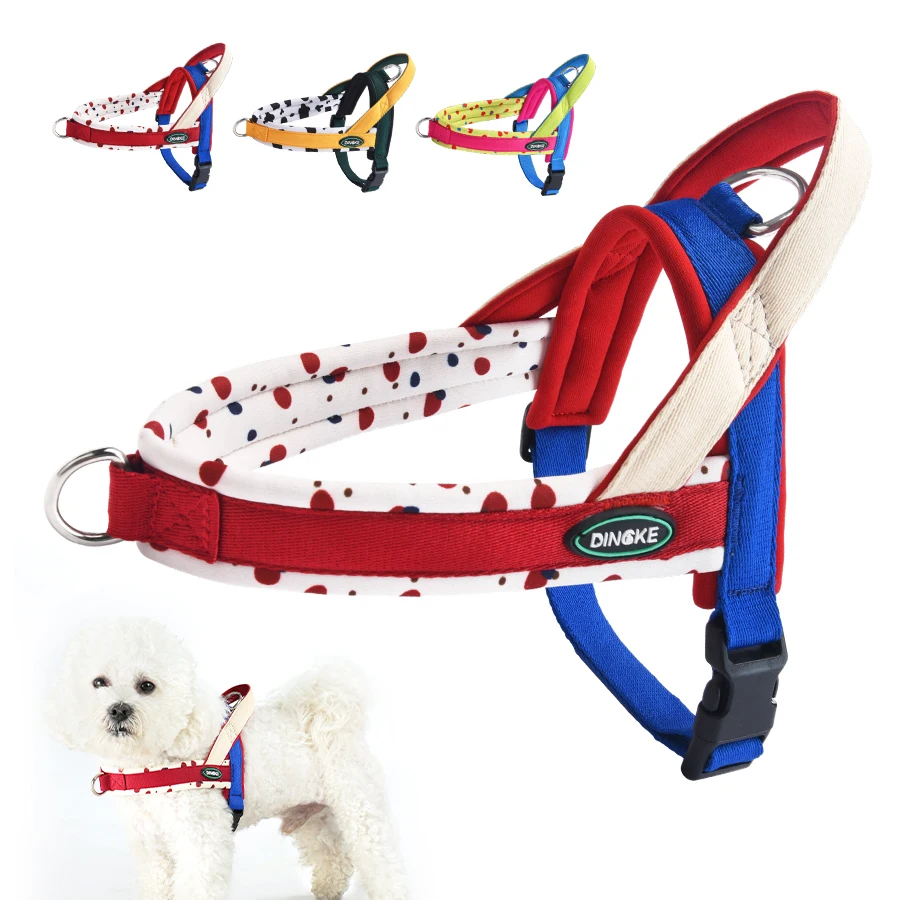 Fashion Pattern No-Pull Dog Harness, Escape Proof Soft Padded Vest with Handle for Small Medium Dogs 1005011984925962