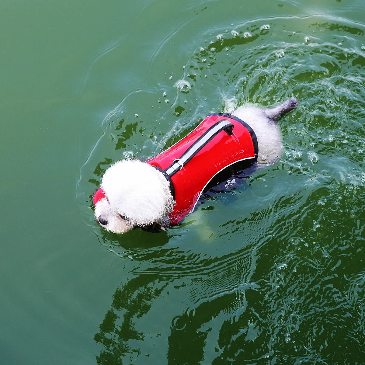 Pet Dog Hand-Held Life Jacket Towing Swimming Suit for Small Medium and Large Dogs to Play in Water 1005011989269413