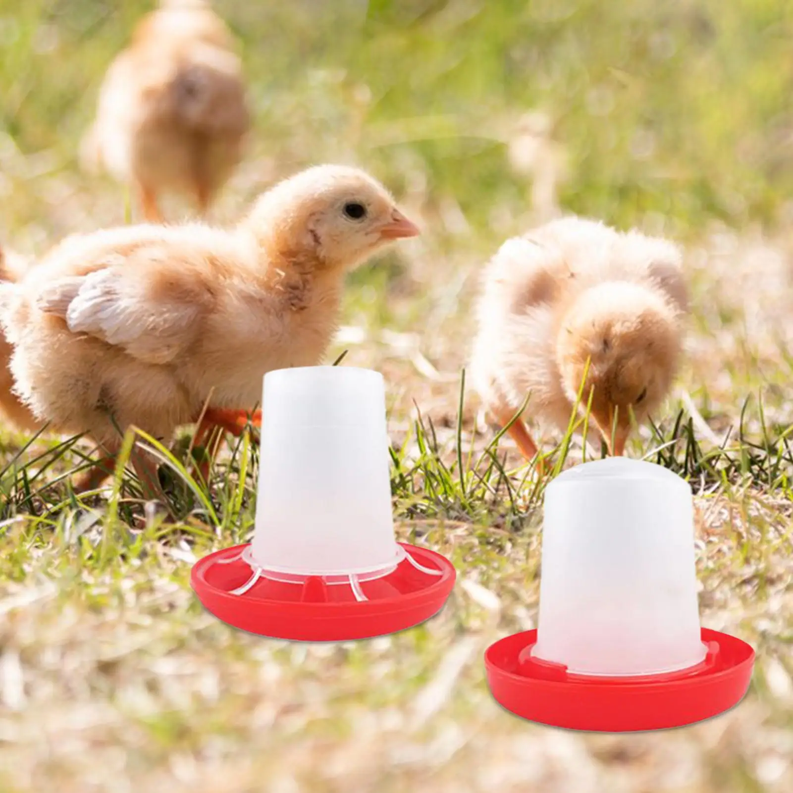 Chicken Feeder Automatic Feeders Poultry Feeding & Watering Supplies for Farm Pet Outdoor Baby Barn 1005011991826292