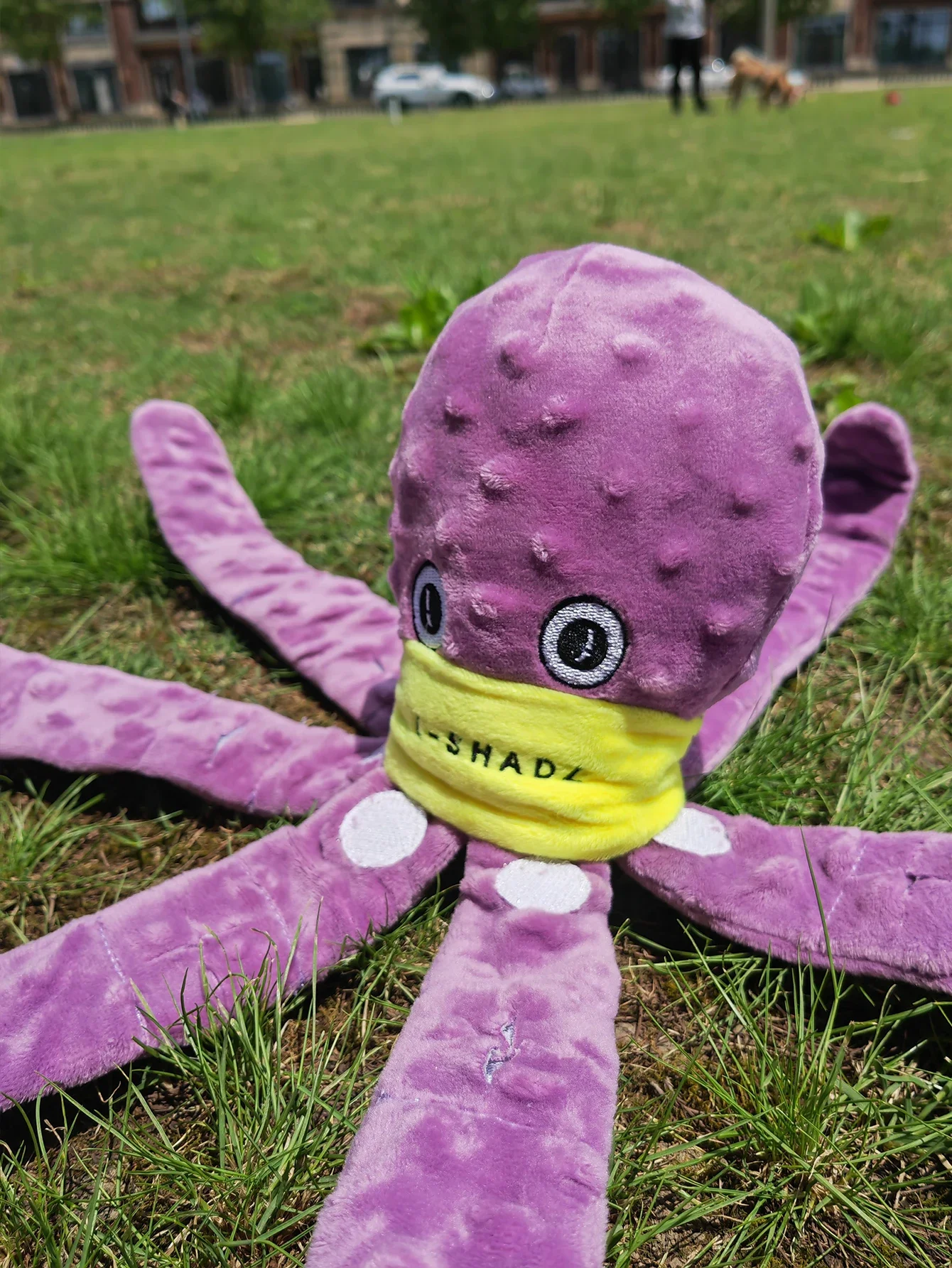 Interactive Octopus Dog Snuffle Toy - Enrichment Puzzle Game Slow Feeder Eating Toy for Pets 1005012020711442