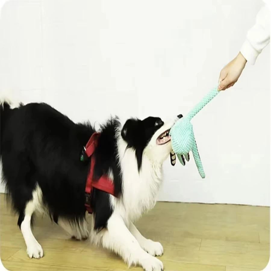 View 4