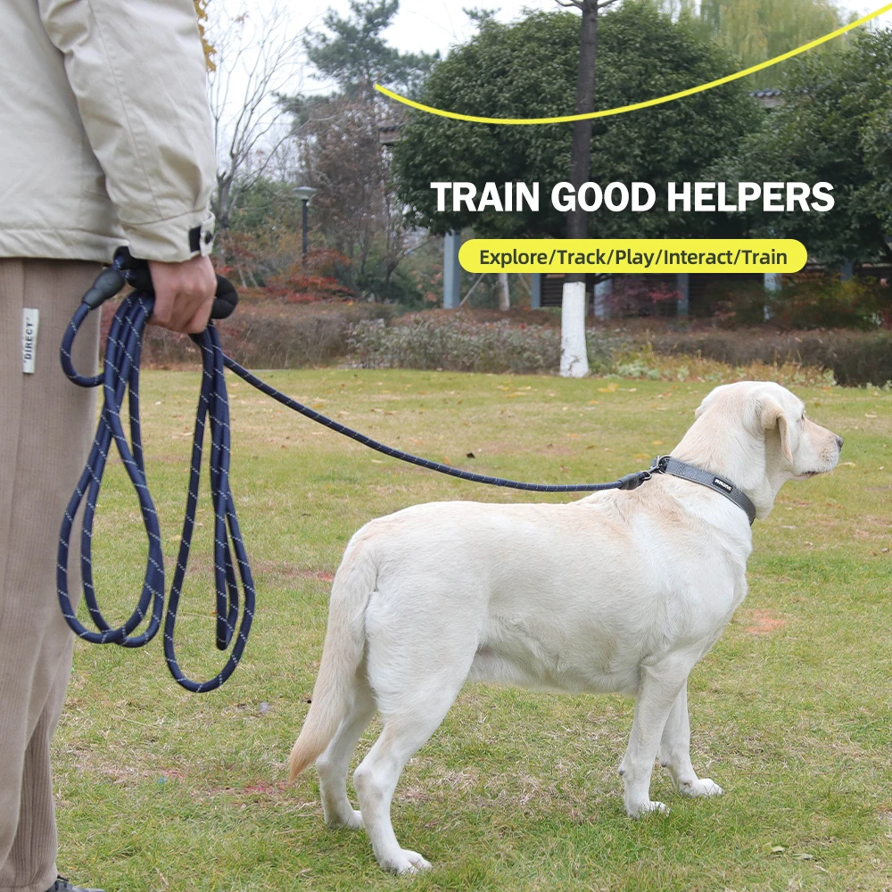 5M/10M/15M Long Dog Training Leash for Walking Heavy Duty Nylon Leash for Agility Training and 1005012023182935