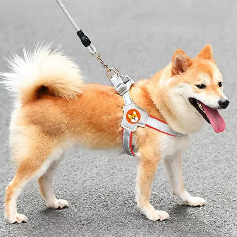 Breathable Mesh Vest-Style Dog Harness and Leash Set: Adjustable No-Pull Padded Harness for Dogs 1005012025013025