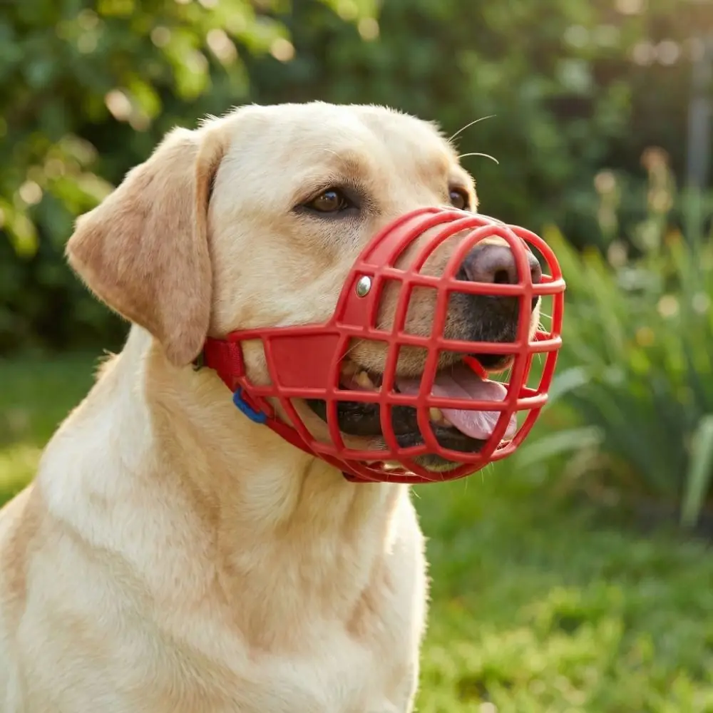 Practical Adjustable Anti-Biting Mouth Cover Breathable Bite Resistant Dog Mouth Mask Comfortable 1005012041053350
