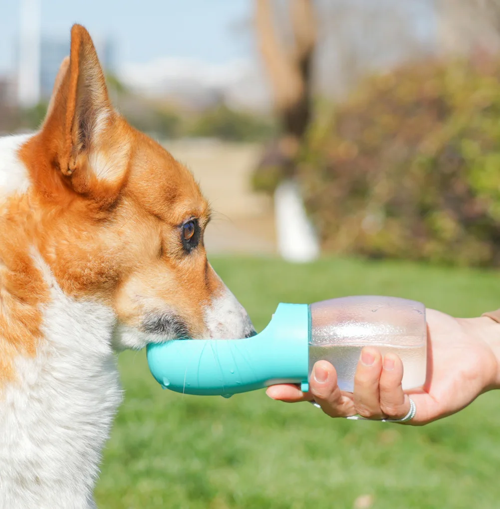 Portable Pet Water Cup 300ML Cat Dog Water Feeding Kettle Leakproof Water Dispenser for Outdoor 1005012041558374