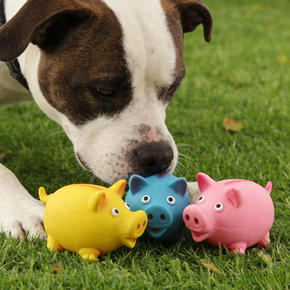 Squeaky Latex Pig Dog Toy: Chew-Resistant Stress Relief & Training Toy for Interactive Play and 1005012045800285