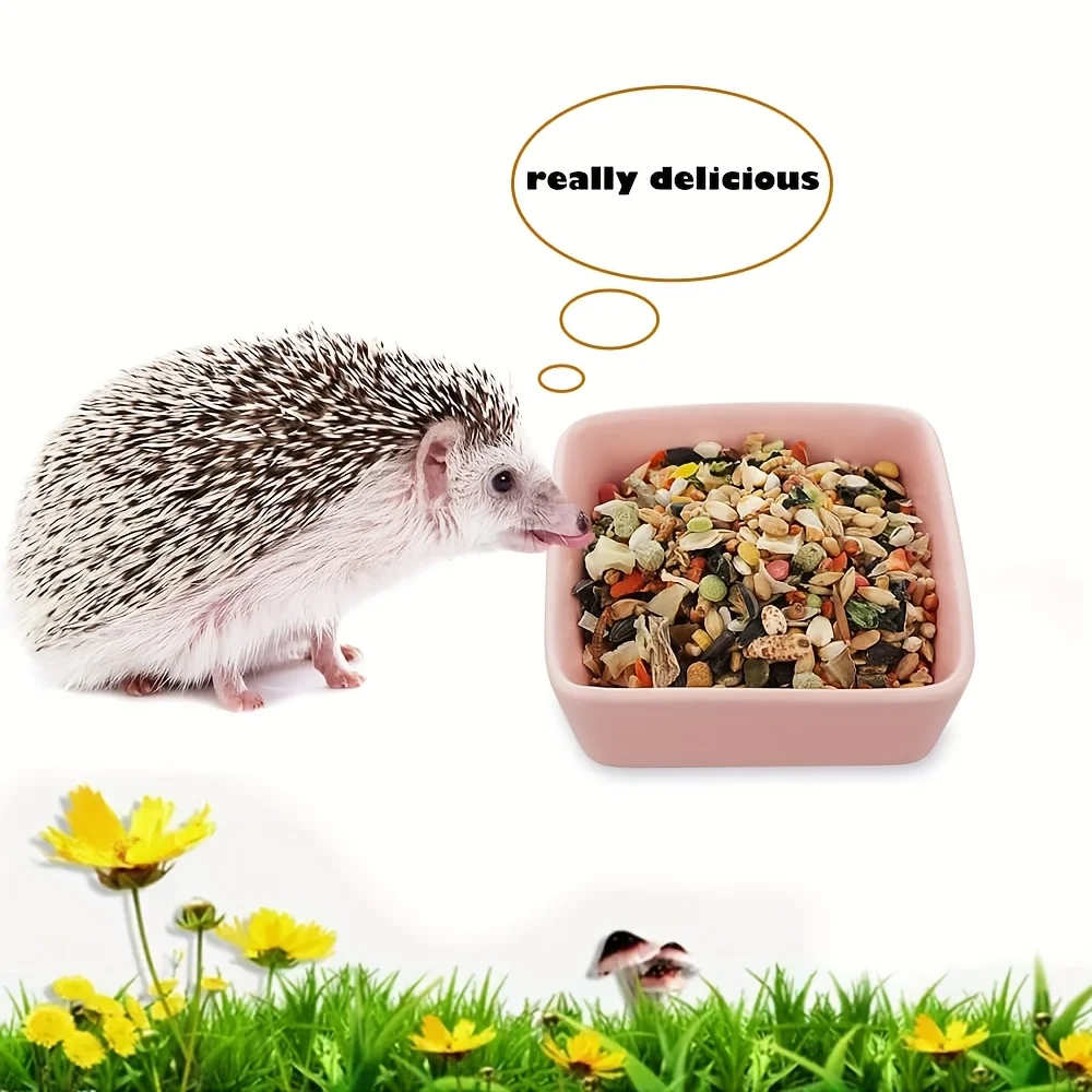 Ceramic Small Animal Feeding Dish Food Water Bowl for Hamster Mice Rats Chinchilla Guinea Pig 1005012047674179