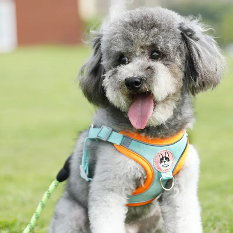 Dog Harness Leash Sets Adjustable Dog Harness for Small Dog Leash Breashable Pet Out Walking Dog 1005012048705180