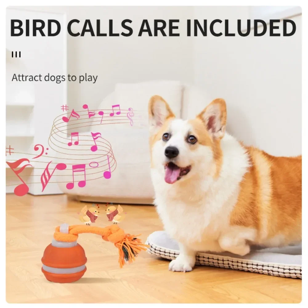 Pet Ball for Dogs Interactive Toys Motion Activate Rolling Ball for Puppy/Small Dogs Automatic 1005012062540496