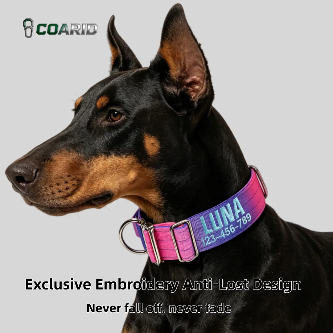 Custom Dog Collar Gradient 12 Colors Personalized Embroidered Name & Phone Number Adjustable for 1005012071701236