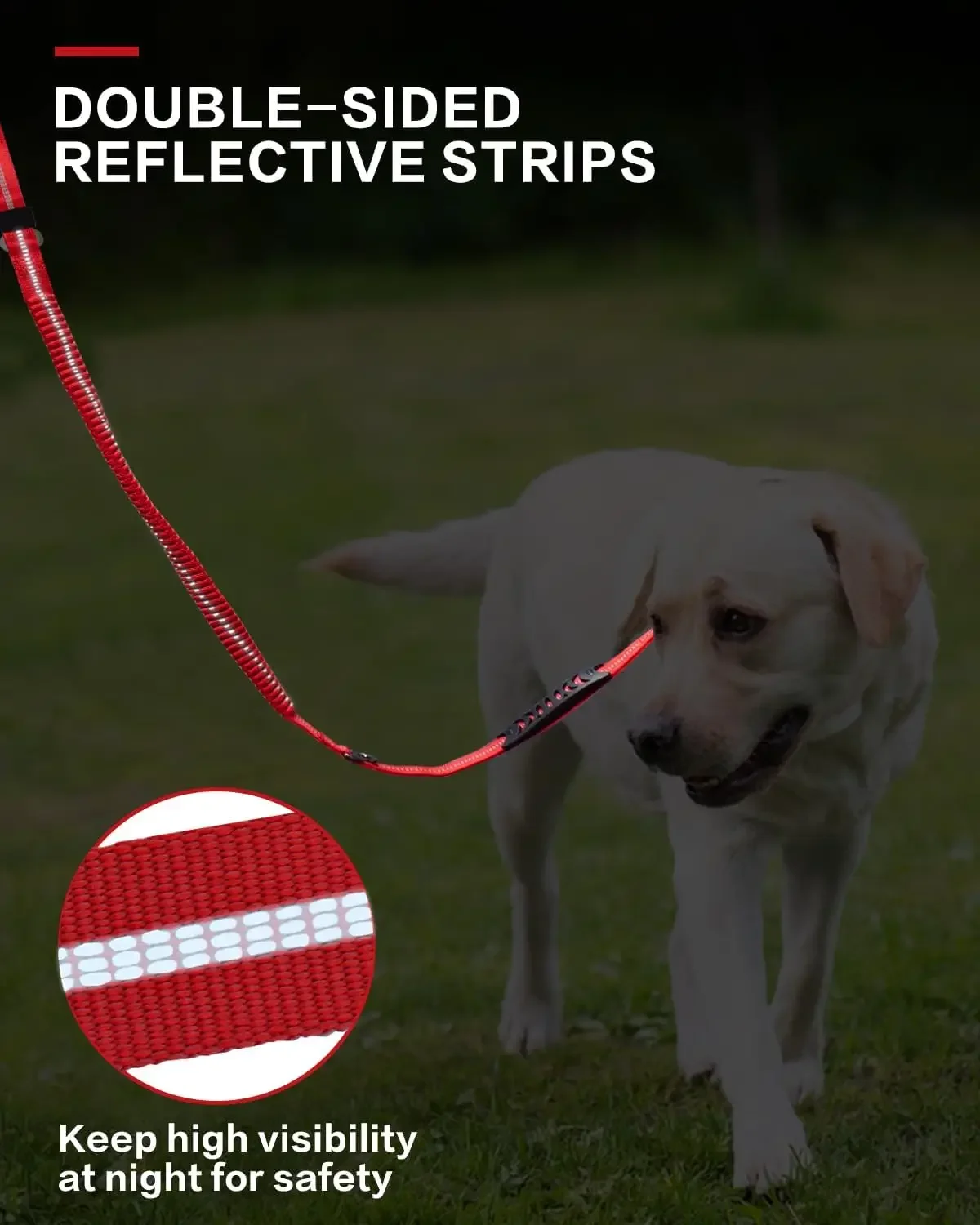 View 4