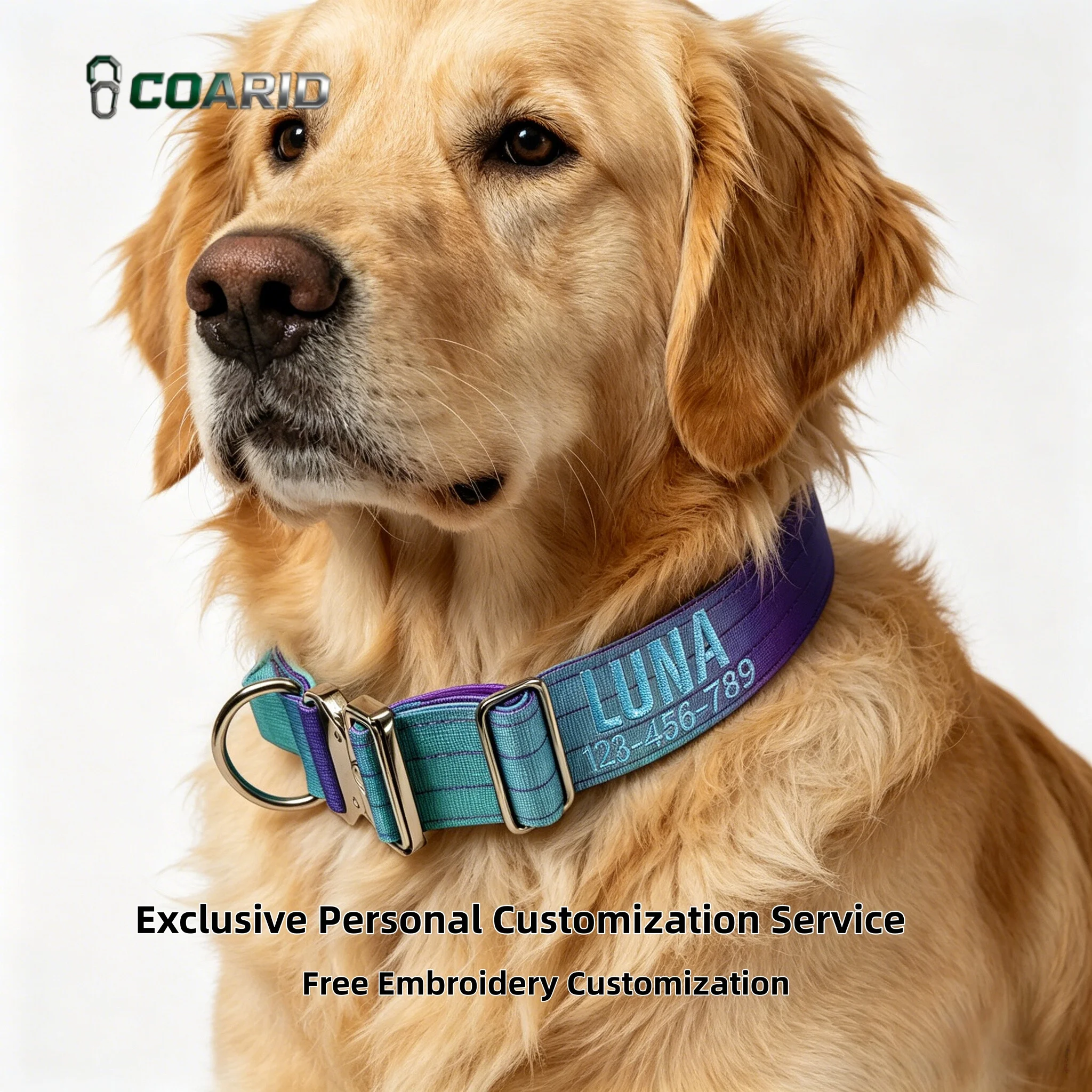 Custom Dog Collar Personalized Gradient 12 Colors, Name Engraved Knitted Pet Collar 1005012074914850