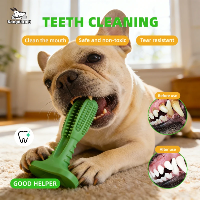 Dog Toys for Large Dogs Toothbrush Squeak Toys for Small Dogs Puppy Squeaky Chew Toy Teeth Cleaning 1005012075969162