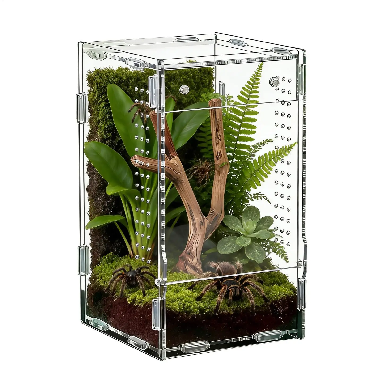 Reptile Enclosure Front Opening Escape Proof Habitat Acrylic Jumping Spider Habitat for Observation 1005012077333131