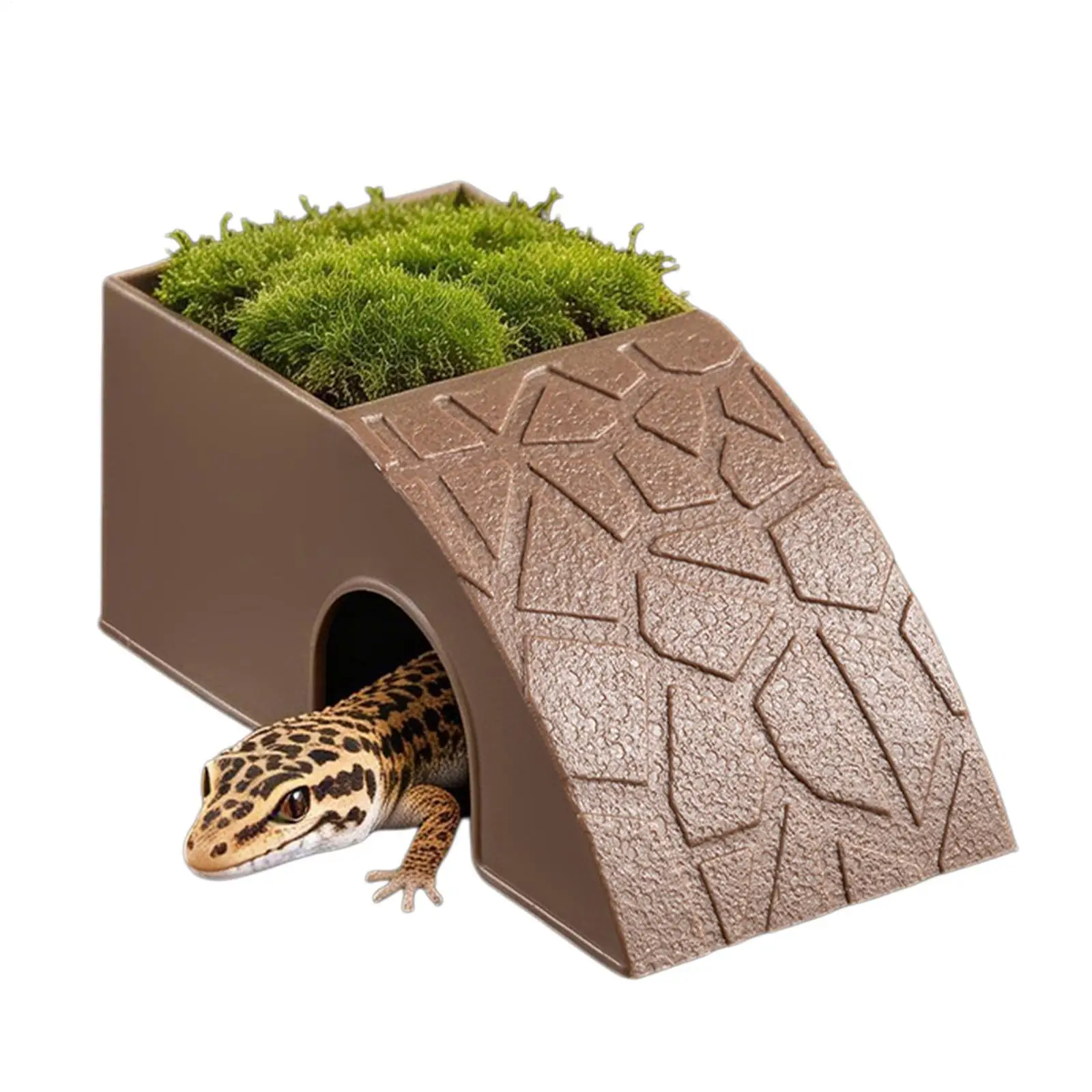 Reptile Feeding Dish 2-in-1 Food & Water Bowl with Shelter Non-Spill Resin Ornament for Bearded 1005012078470001