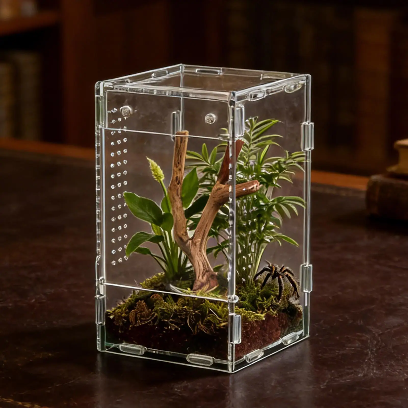Reptile Enclosure Front Opening Escape Proof Habitat Acrylic Jumping Spider Habitat for Observation 1005012079943367