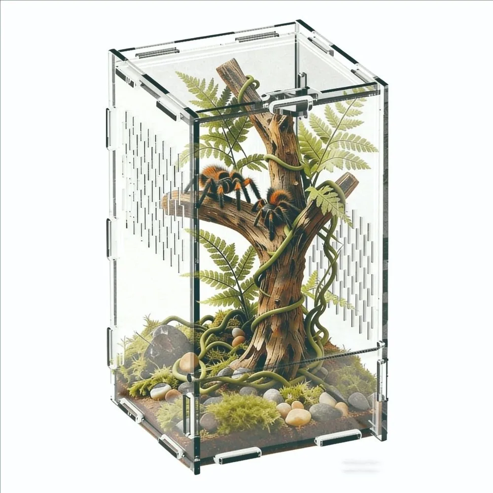 Acrylic Jumping Spider Enclosure Escape Proof Transparent Reptile Feeding Tank Buckle Lock 1005012083351413