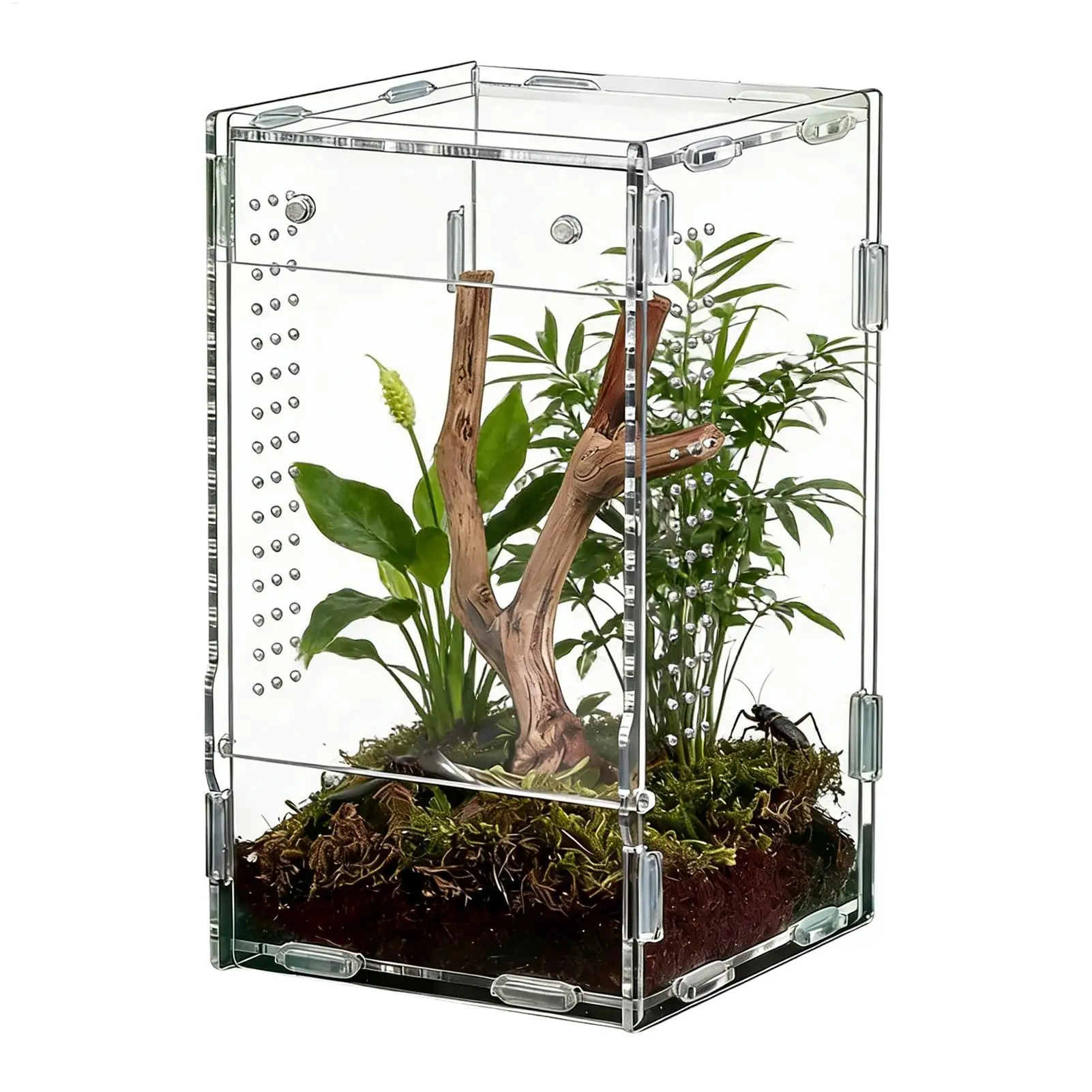 Reptile Enclosure Front Opening Escape Proof Habitat Acrylic Jumping Spider Habitat for Observation 1005012083376186