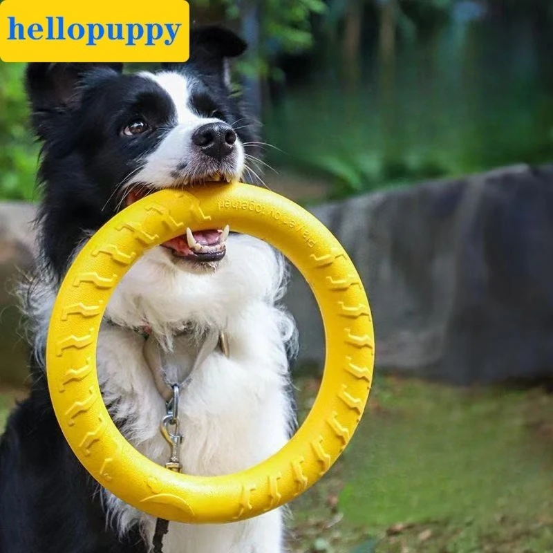 Dog Ring Toys Indestructible Chewing Flying Floating Training Tools Fetch for Small Medium Large 1005012087946358