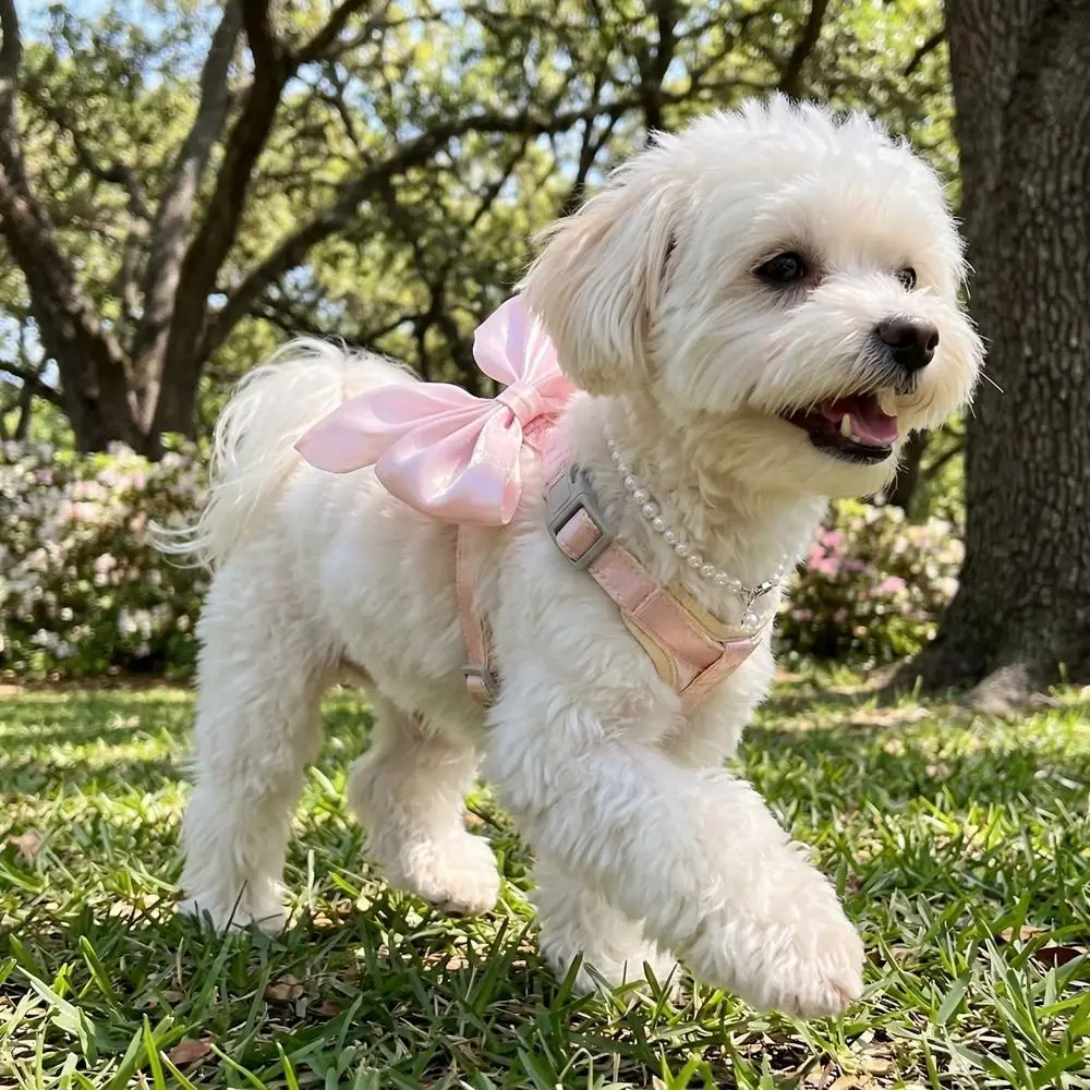 Princess Style Adjustable Pet Harness Escape-Proof Cute Bow Cat Leash Breathable Comfort Pet 1005012089622929