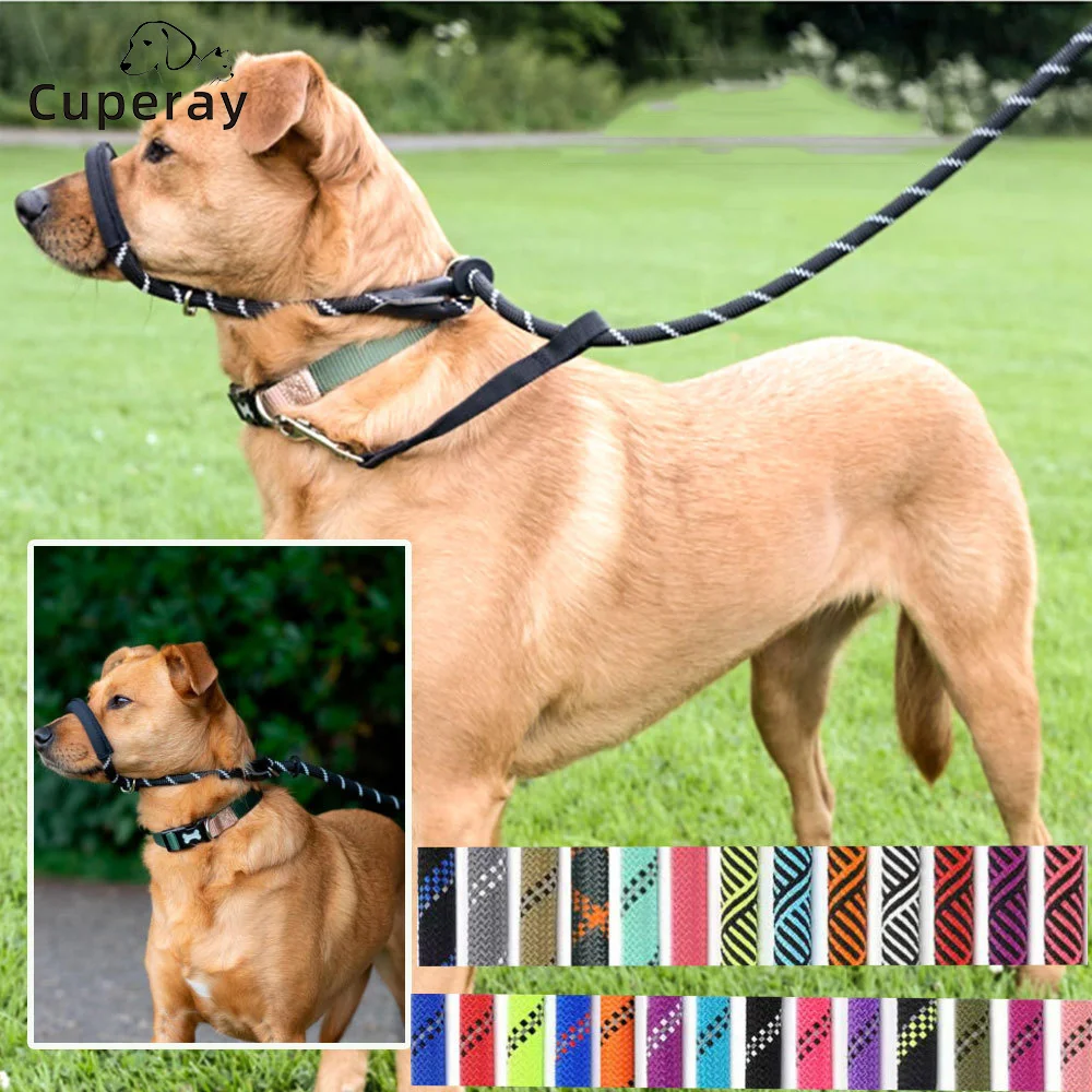 Adjustable Nylon Reflective Dog Leash with Anti-Bite Muzzle 1005012092527681