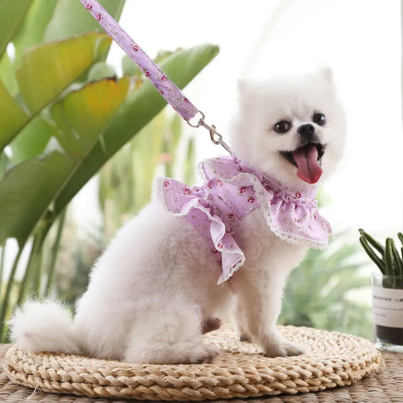 Dog Cat Harness Leash Set Adjustable Cute Lace Floral Printed Pet Harness Vest Dog Clothes Puppy 1005012092598622
