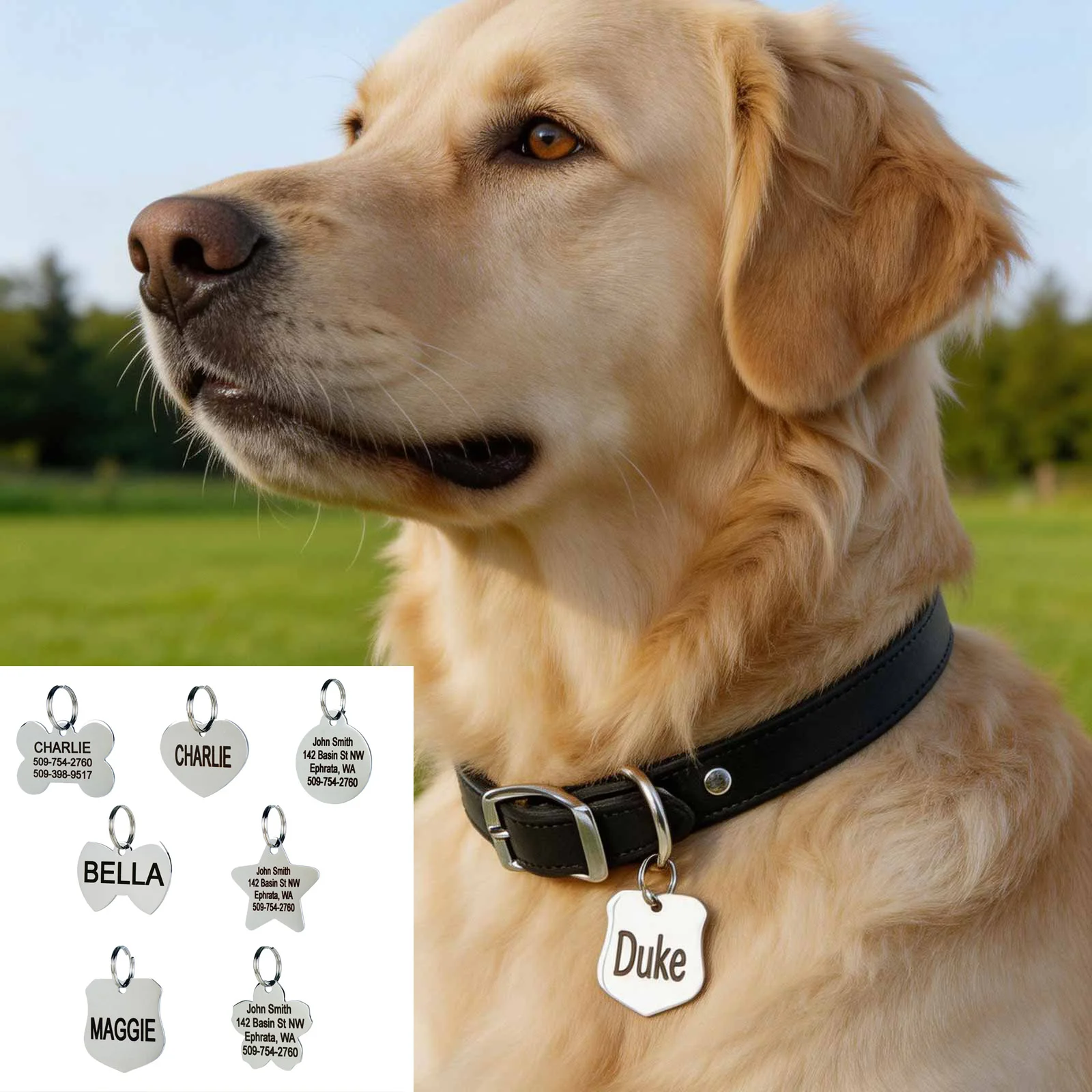 Free Custom Pet Tag for Dog Cat, Waterproof Stainless Steel Engraved Puppy Pet ID Name Collar Tag 1005012093165522