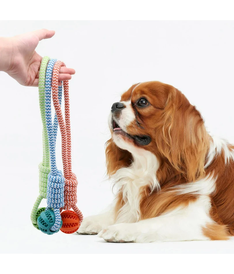 Dog Toy Ball with Rope for Feeding, Self-Entertainment, Boredom Relief, Durable Chew Toy 1005012097030912