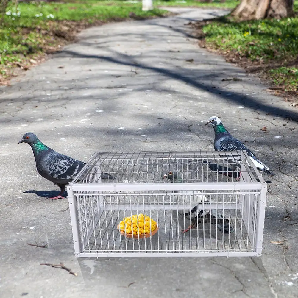 Auto Trap Bird Cage Rabbit Cage Mouse Cage Entry Only No Exit Thickened Encrypted Automatic Pigeon 1005012098414443