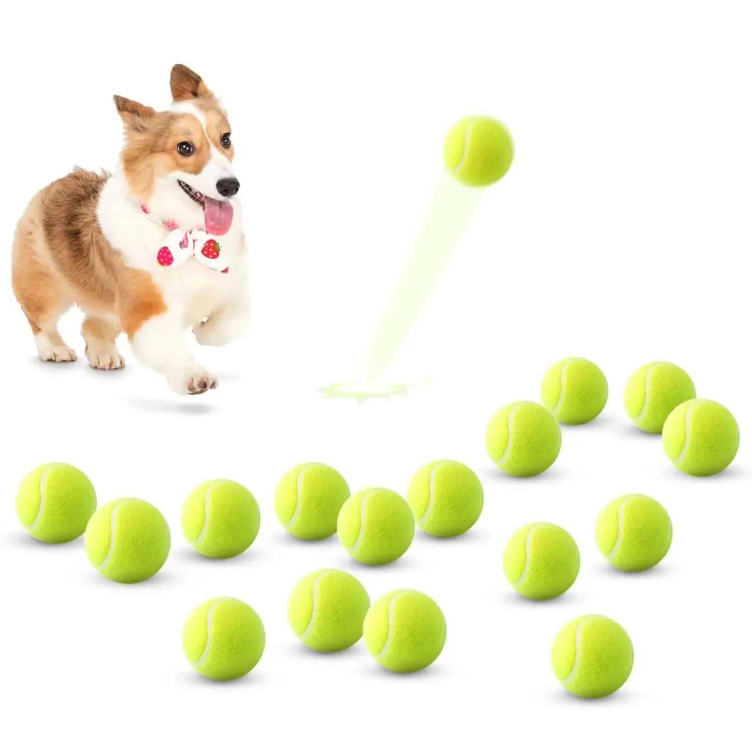 A Tennis Balls for Dogs, 2-Inch Size 1005012100225353