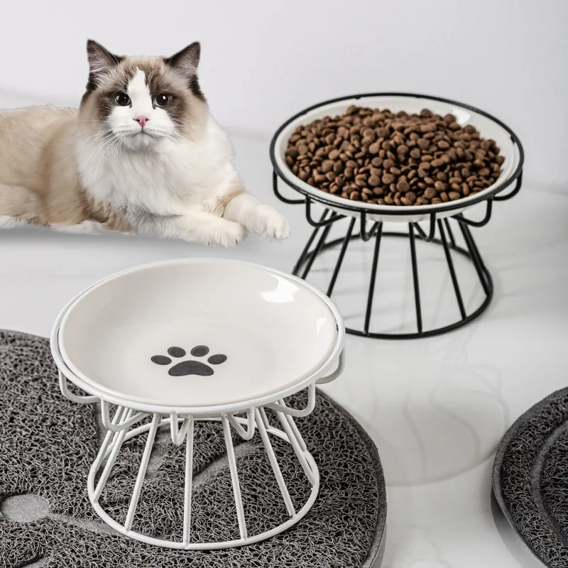 Pet Ceramic Bowl, High Footed Ceramic Cat Food Bowl, Snack Bowl 1005012114920164