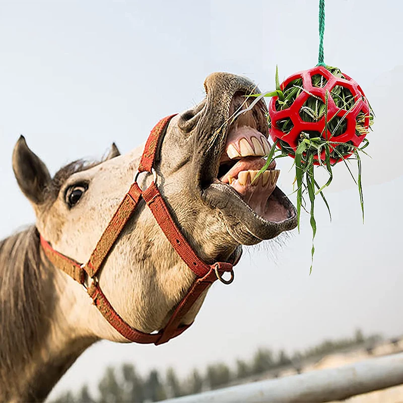 Horse Treat Ball Hay Feeder Toy Ball Hanging Feeding Toy for Horse Horse Goat Sheep Relieve Stress 1005012125440748