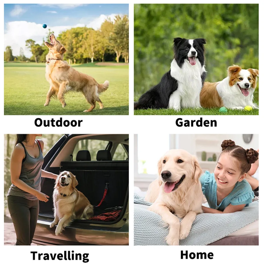 Premium Dog Cat Bath Free Cleaning Gloves Deodorizing Disposable Wet Wipes No Water Dry Cleaning 1005012126180647