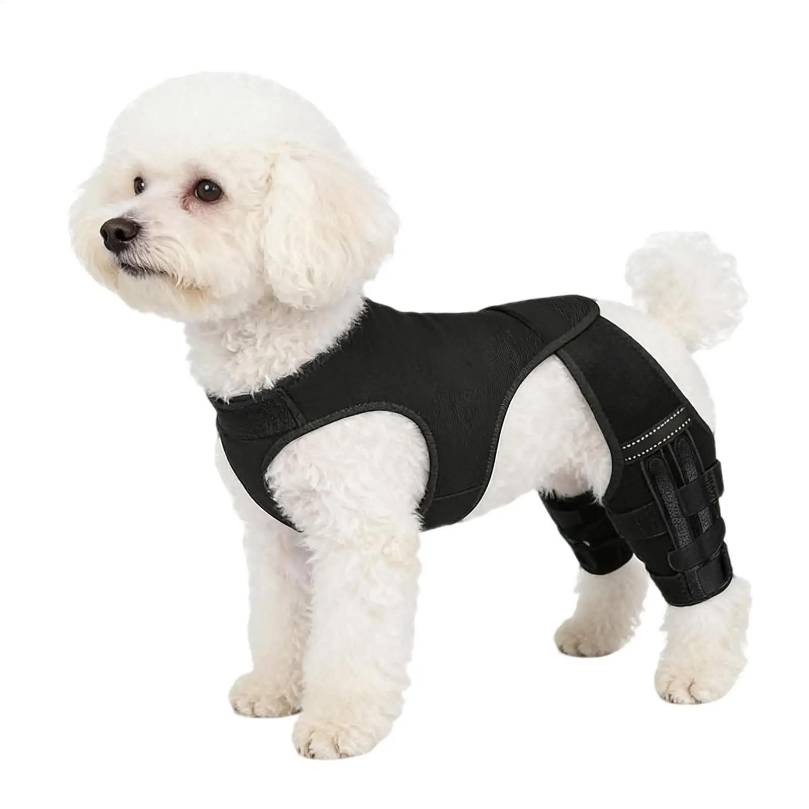 Adjustable Joint Protector Dog Rear Leg Brace Knee Support Belt with 4 Metal Stabilizer Pet 1005012134067474