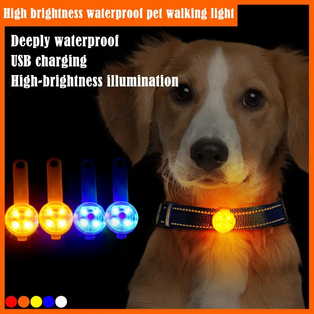Rechargeable LED Dog Collar Light Waterproof Safety Pendant 1005012134360035