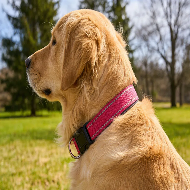 Adjustable Reflective Dog Collar, Safe Comfortable Pet Collar for Small Medium Dogs 1005012134966894
