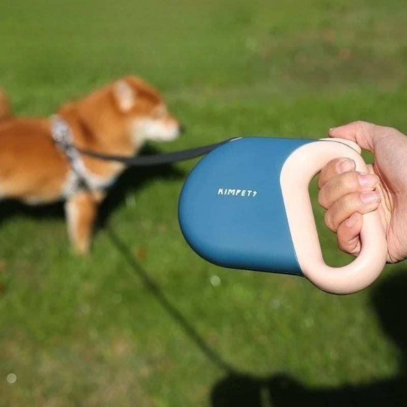 Retractable Dog Leash Pet Leashes Traction Rope Reflective Belt Automatic Flexible for Small (5M) 1005012137005424
