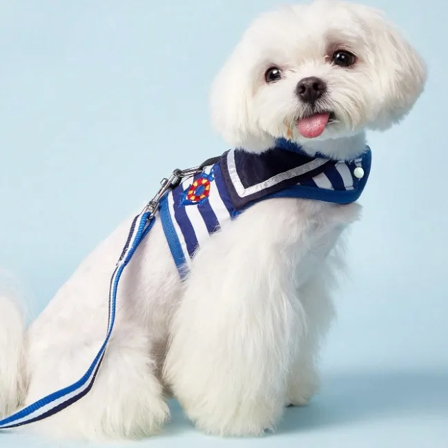 Dog rope traction strap small and medium-sized dog chest harness multiple sizes to choose from 1005012143539843