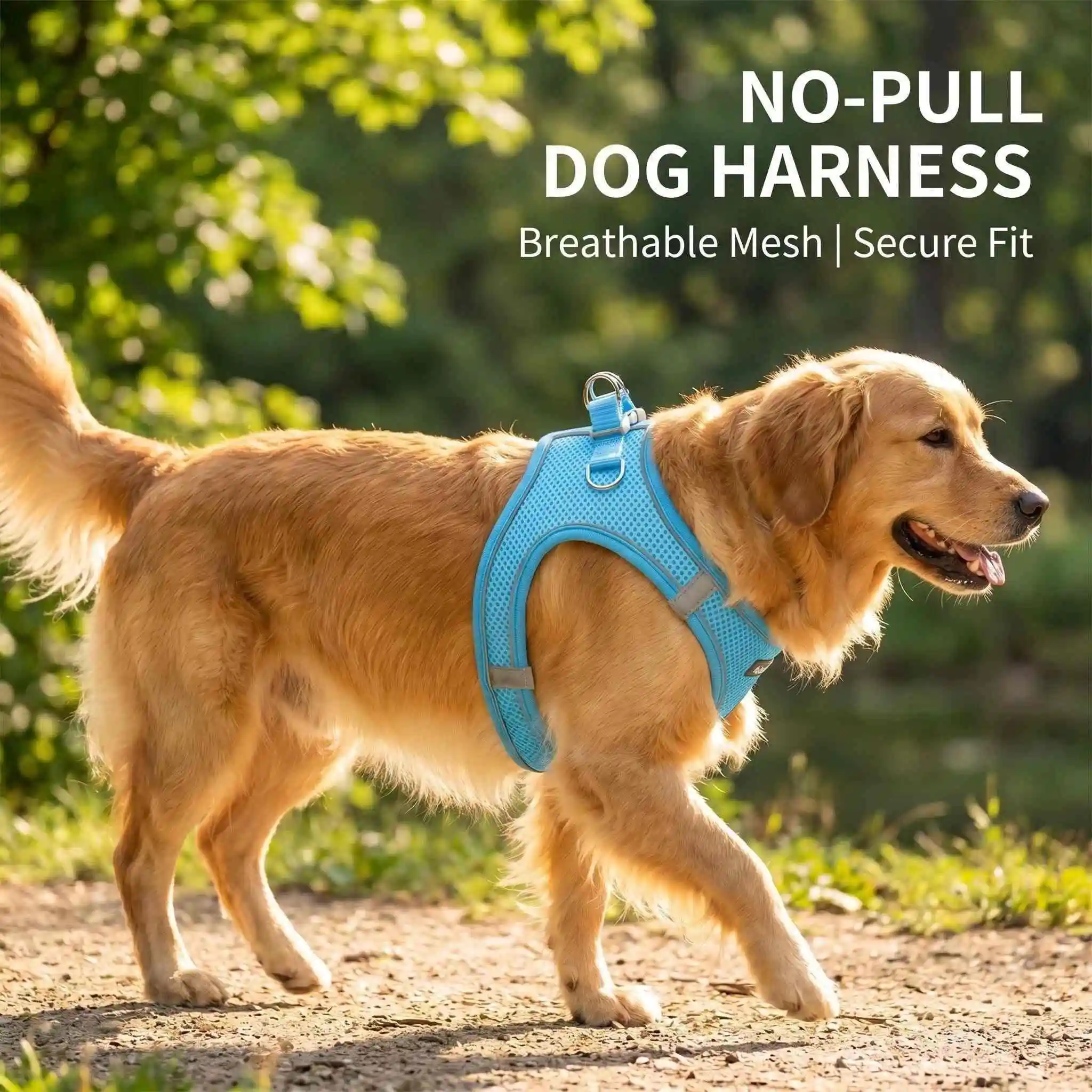 Dog Leash Vest Puppy Harness Set Accessories Adjustable Cat Vest Dog Reflective Set Chihuahua Small 1005012144603274