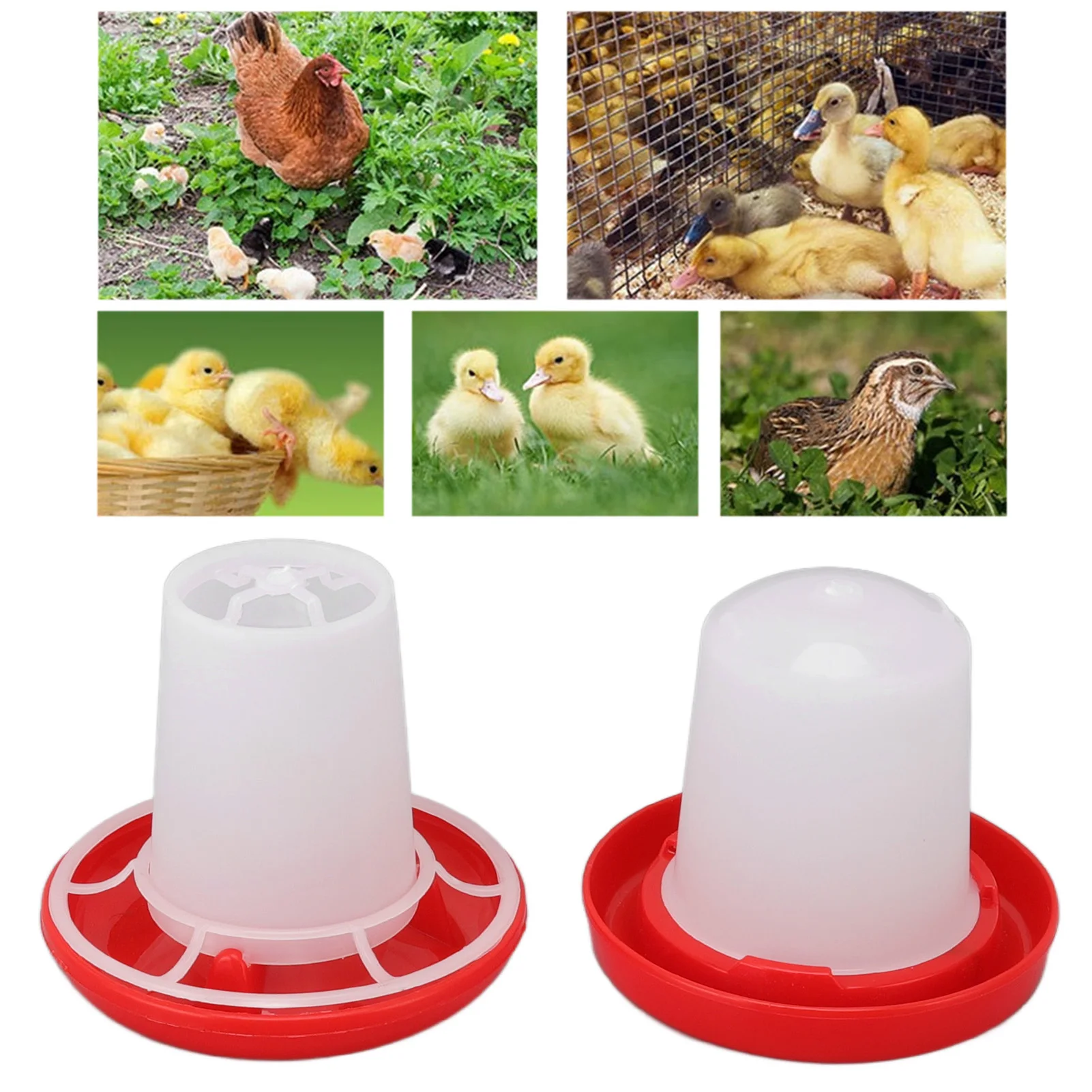 Chick Feeder and Waterer Kit Rotary Sleeve Design Automatic Feeding and Watering Poultry Feeder and 1005012150590400
