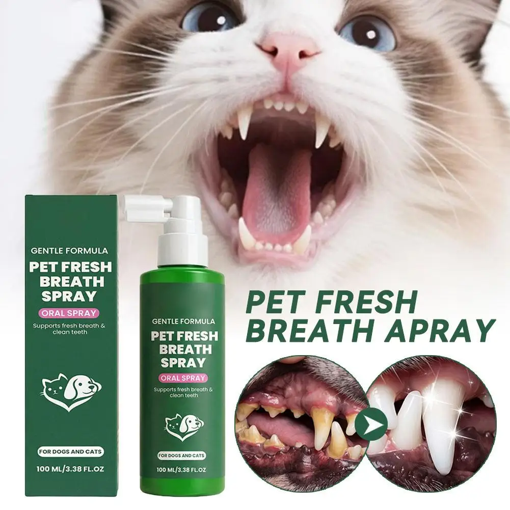 Safe Pet Oral Cleaning Spray No Brush Dog Cat Dental Cleaning Mist Instant Fresh Breath Spray 1005012161872944